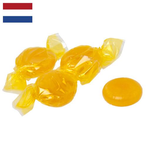 Ирис из Нидерландов