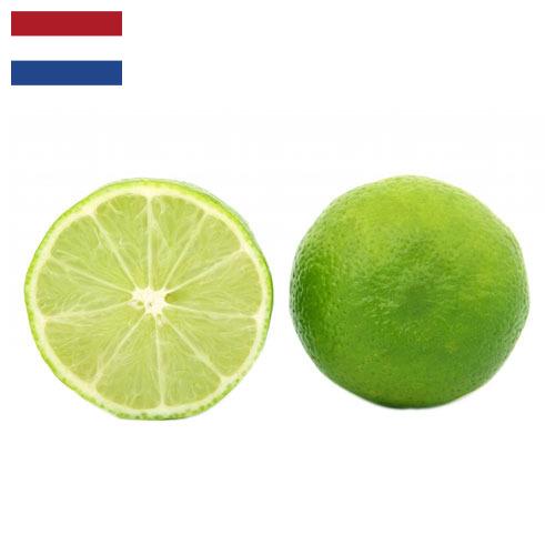 Известь из Нидерландов