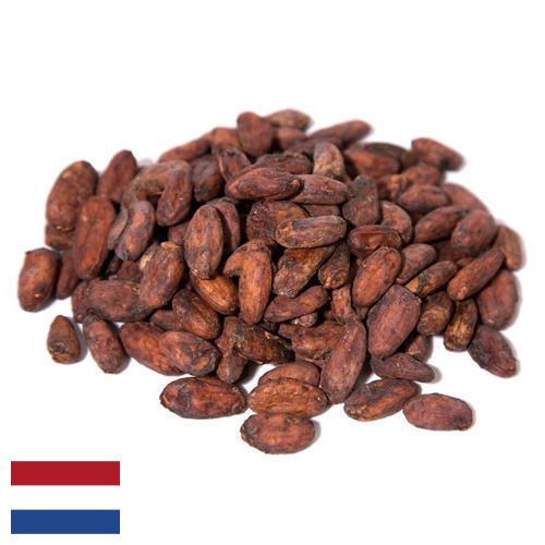 какао бобы из Нидерландов