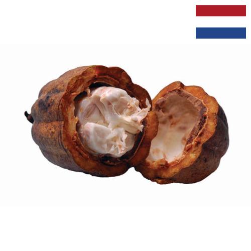 Какао масло из Нидерландов