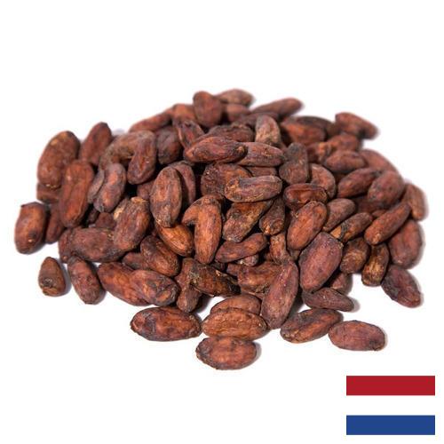 какао-бобы из Нидерландов