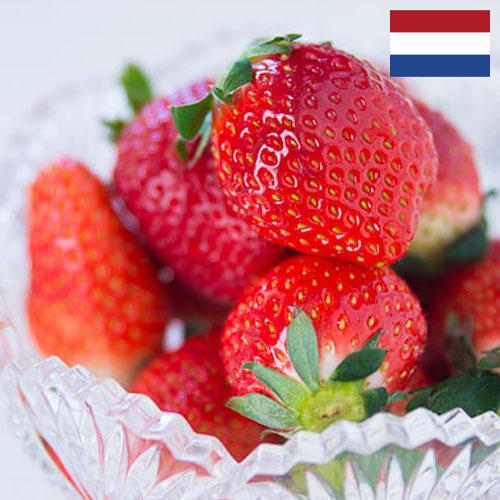 клубника замороженная из Нидерландов