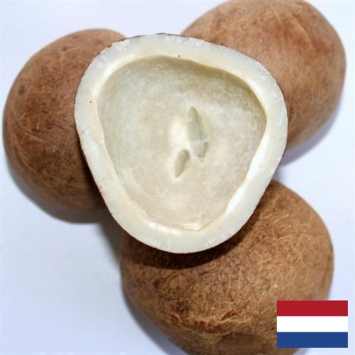 Кокос сушеный из Нидерландов