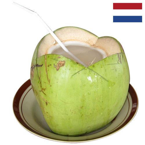 кокосовая вода из Нидерландов
