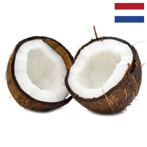 Кокосы из Нидерландов