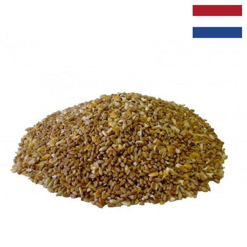 Корма для птицеводства из Нидерландов