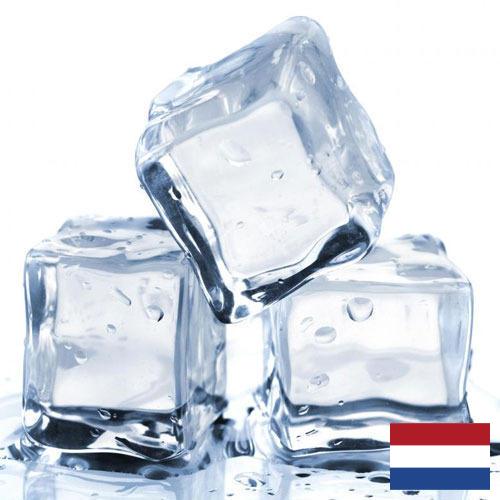 Ледянки из Нидерландов