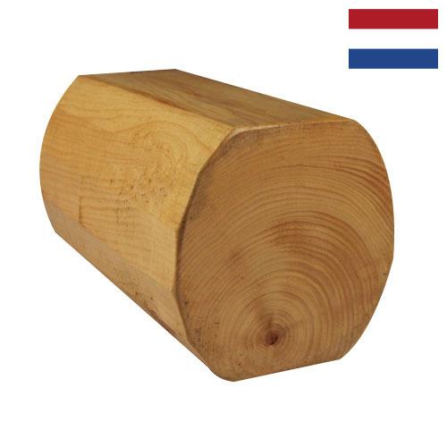 лесоматериалы круглые из Нидерландов