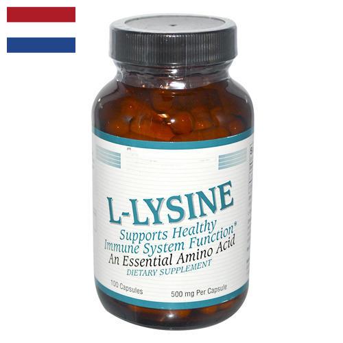 Лизин из Нидерландов