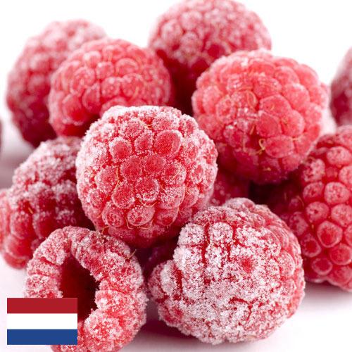 малина замороженная из Нидерландов