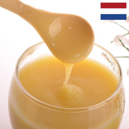 Маточное молочко из Нидерландов