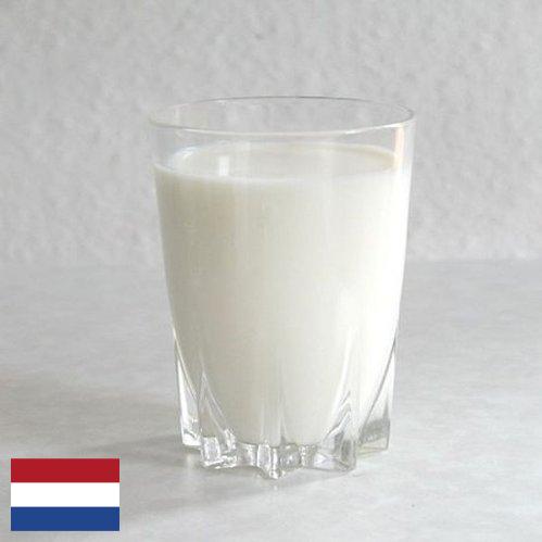 молоко обезжиренное из Нидерландов