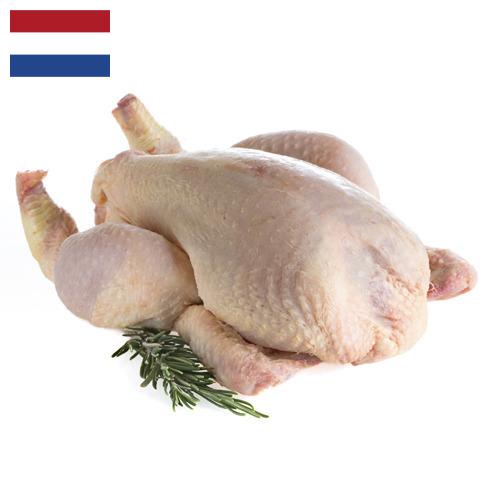 мясо птицы тушка из Нидерландов