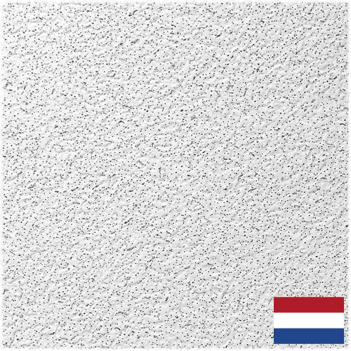 Панели потолочные из Нидерландов