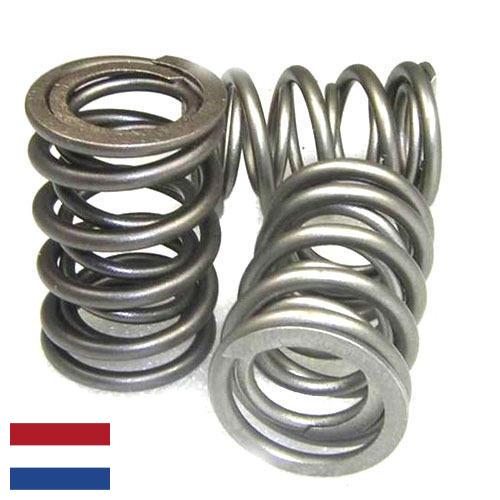 Пружина клапана из Нидерландов
