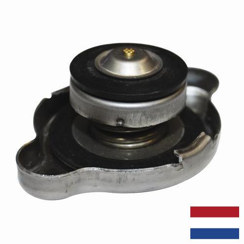 Решетка радиатора из Нидерландов