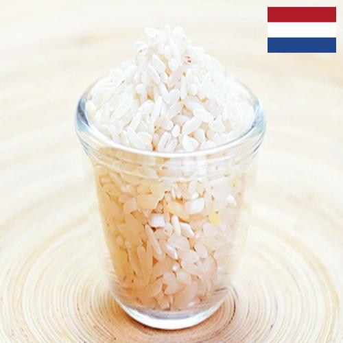 рис шлифованный из Нидерландов