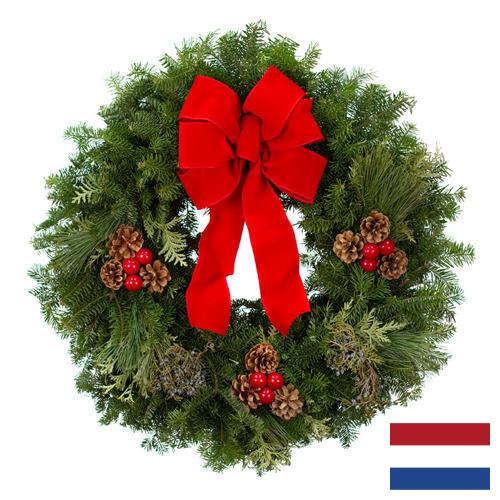 Рождественский венок из Нидерландов