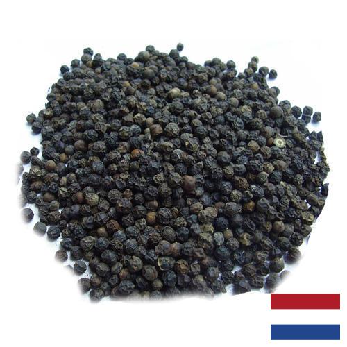 Семена перца из Нидерландов