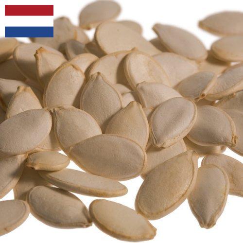 Семена тыквы из Нидерландов
