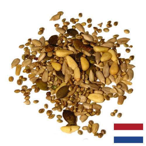 Семена из Нидерландов