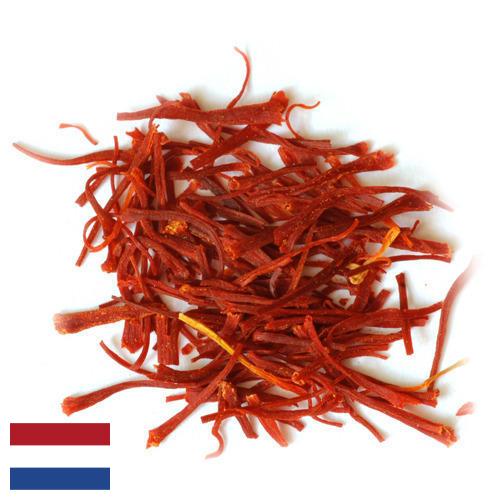 Шафран из Нидерландов