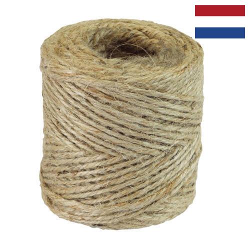 Шпагат из Нидерландов