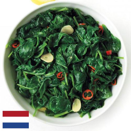 Шпинат из Нидерландов