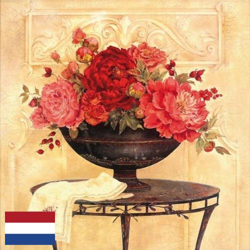 Шторы декоративные из Нидерландов