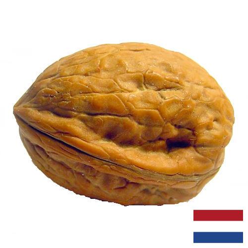 Скорлупа грецкого ореха из Нидерландов