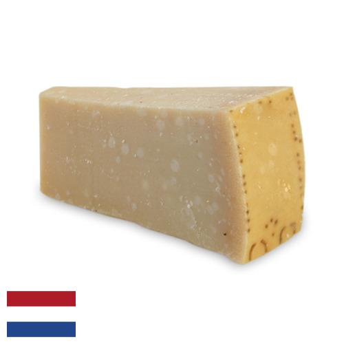 сыр пармезан из Нидерландов