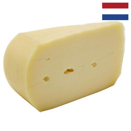 Сыры полутвёрдые из Нидерландов
