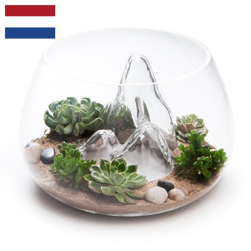 Террариумы из Нидерландов