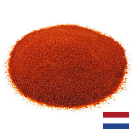 Томатный порошок из Нидерландов