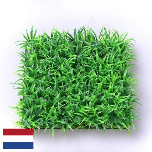 Трава искусственная из Нидерландов