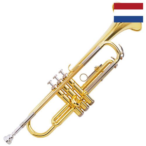 Труболовка из Нидерландов