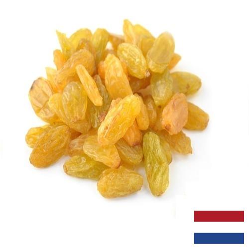 виноград сушеный из Нидерландов