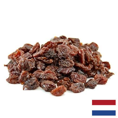 Вишня сушеная из Нидерландов