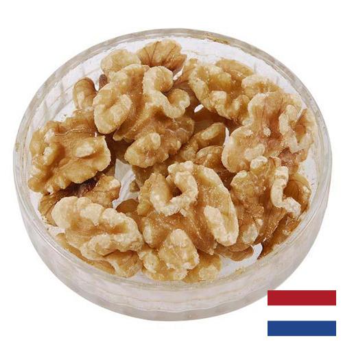 Ядра орехов из Нидерландов