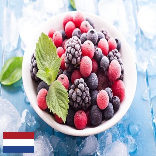 Замороженные фрукты из Нидерландов