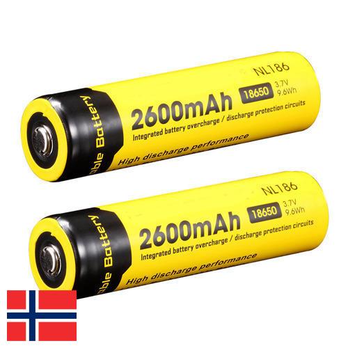 Аккумуляторы литиевые из Норвегии