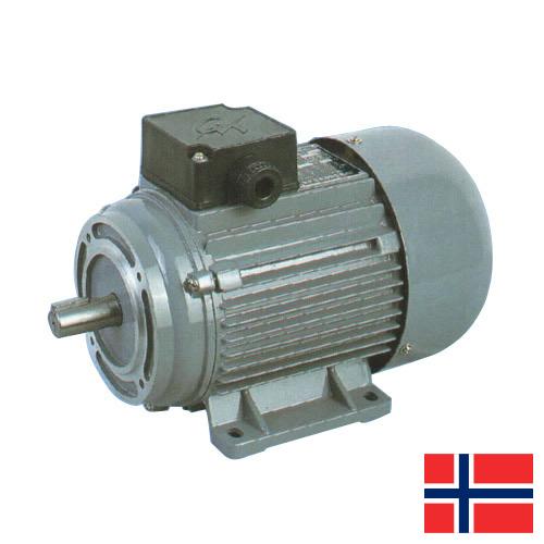 Электродвигатели из Норвегии