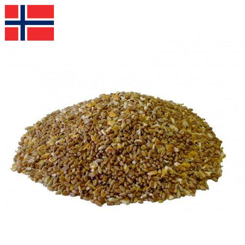 Корма для птицы из Норвегии