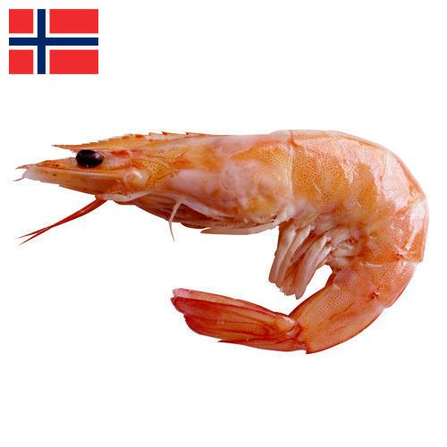 Креветки из Норвегии