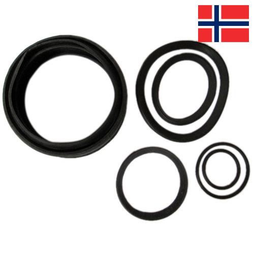 резиновые изделия из Норвегии