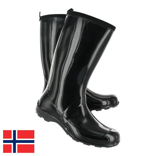 Резиновые полусапоги из Норвегии