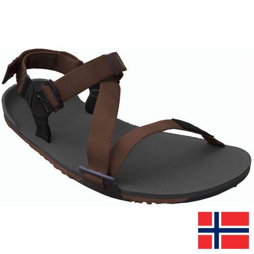 Сандалии мужские из Норвегии
