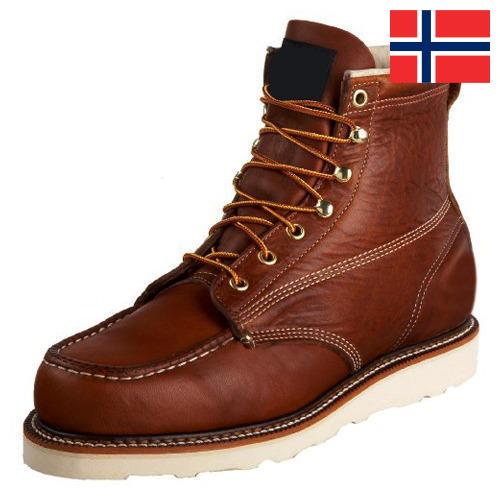 Сапоги мужские из Норвегии