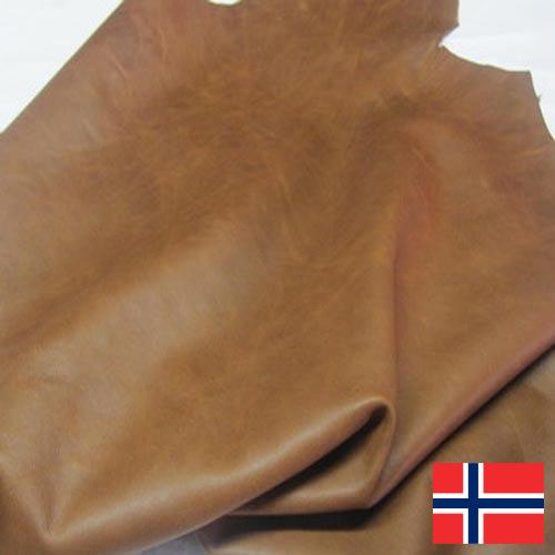 Замша из Норвегии