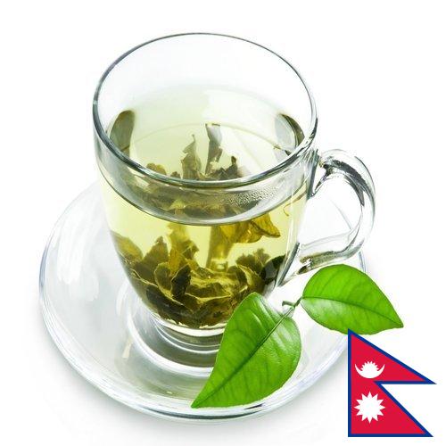 чай зеленый байховый из Непала